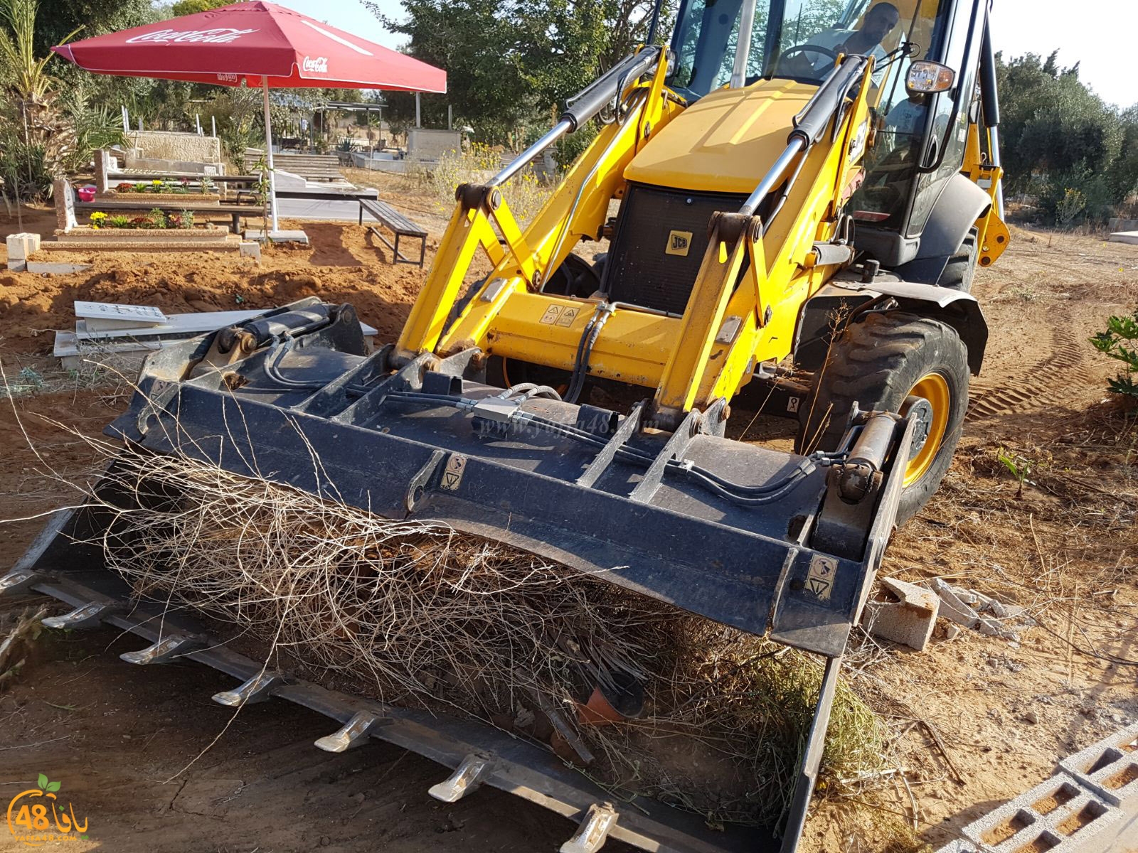 tasoo tandefet (85).jpg